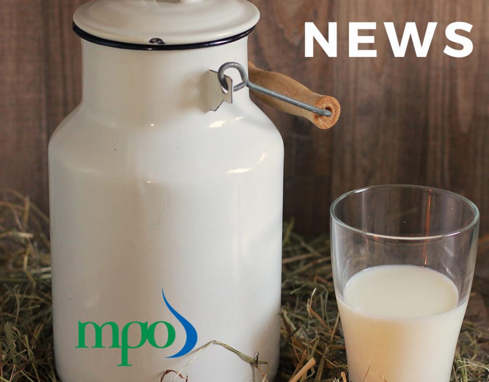 mpo-latest-news-featured image
